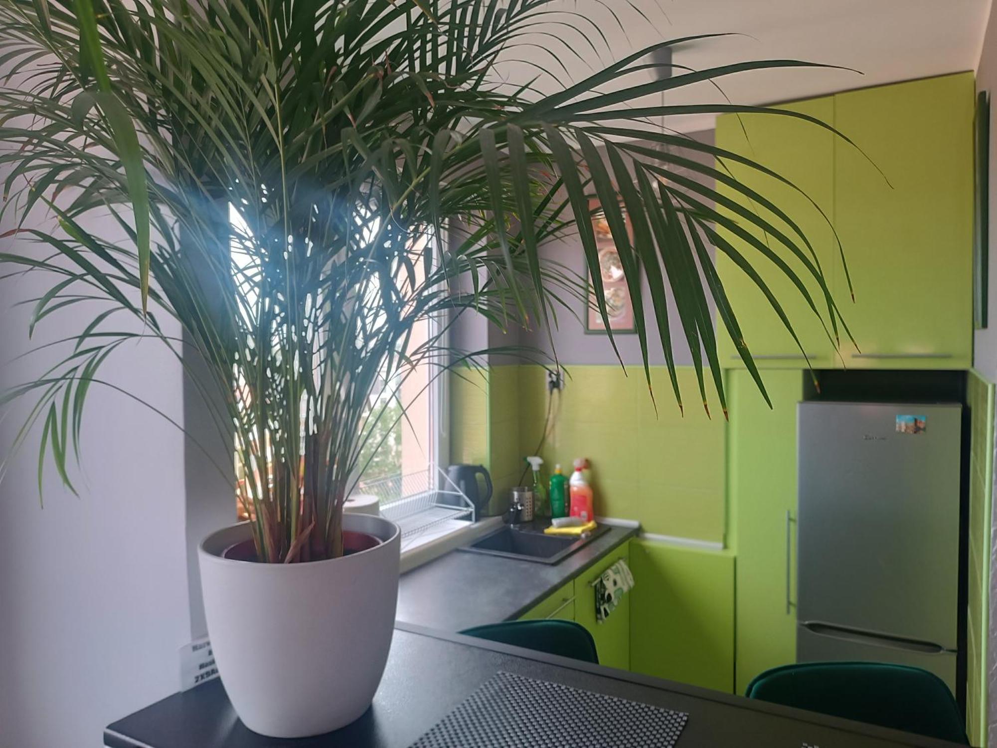 Apartament Dlugie Ogrody 2 Pokojowy Gdansk Ngoại thất bức ảnh